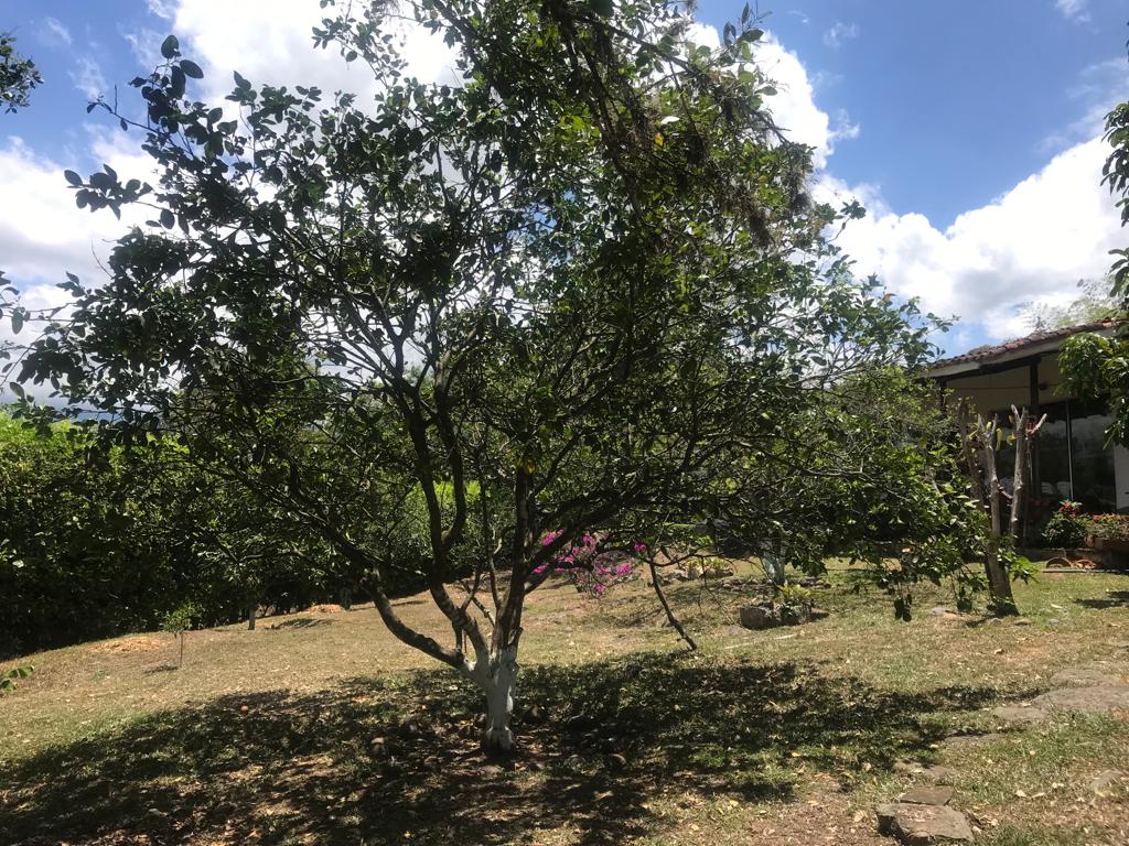 Maravillosa Finca en venta en La Mesa