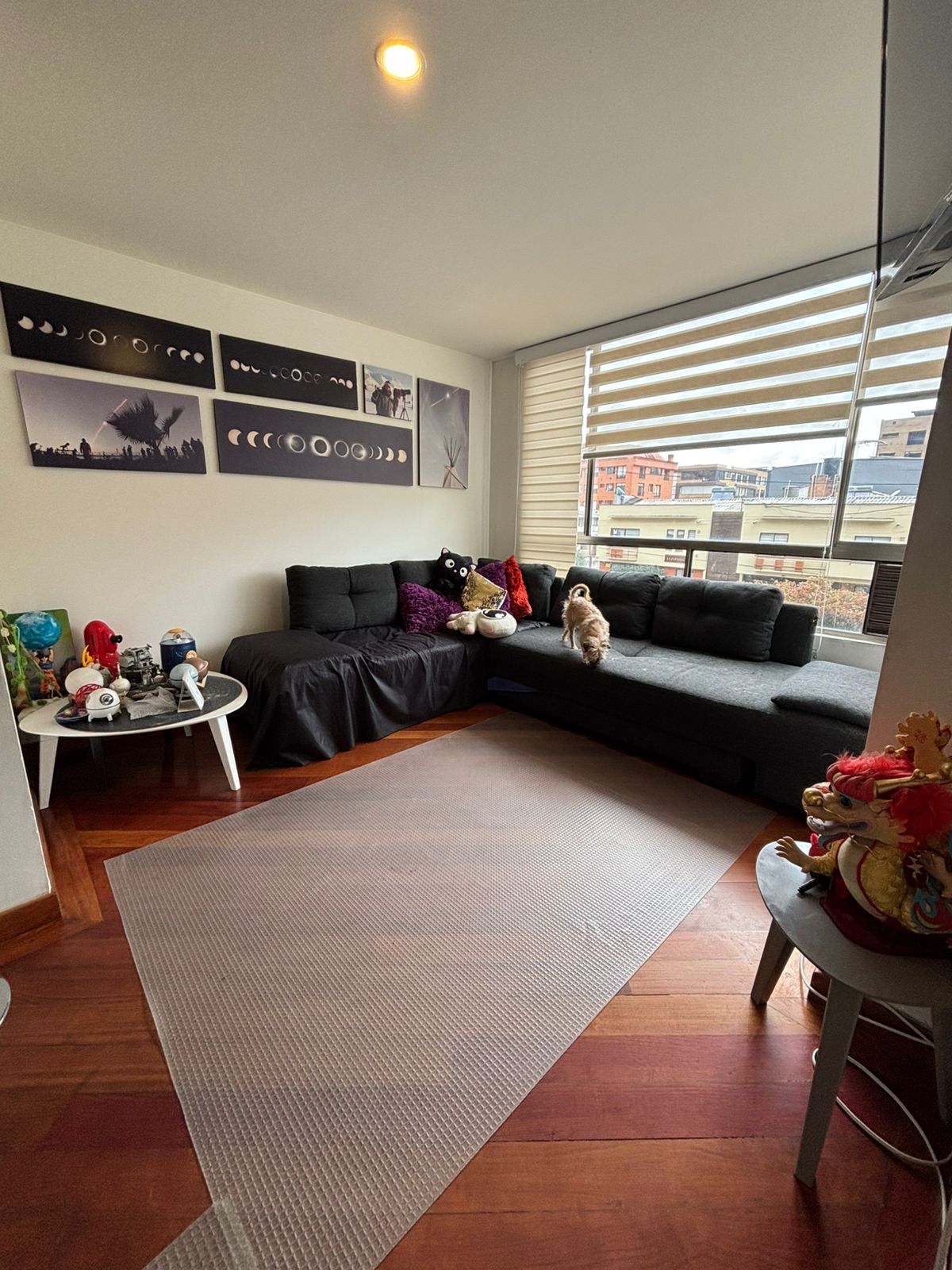 Vendo Hermoso Apartamento En San Patricio