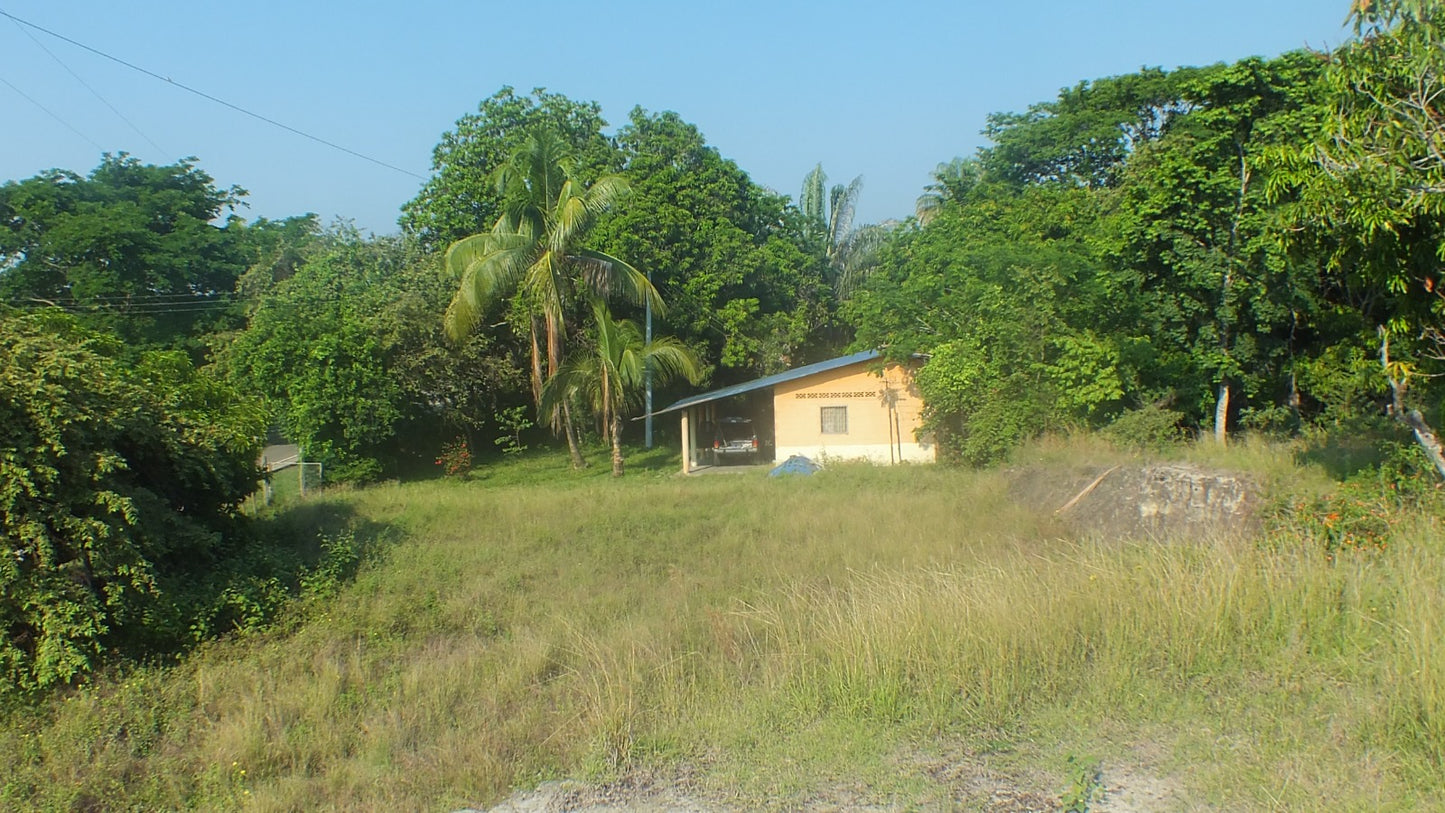 HERMOSA FINCA EN VENTA EN GUAMO ORTEGA