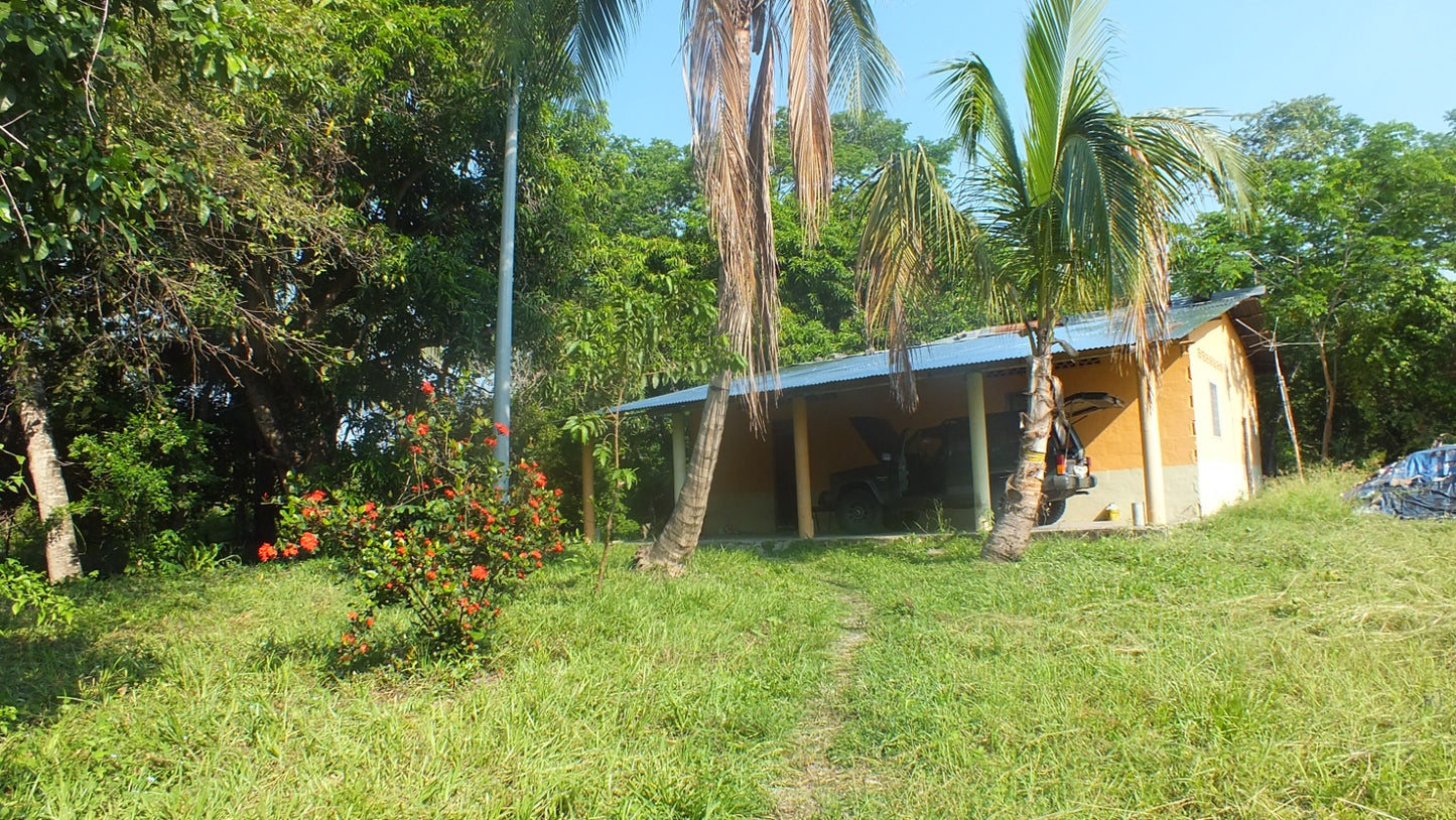 HERMOSA FINCA EN VENTA EN GUAMO ORTEGA