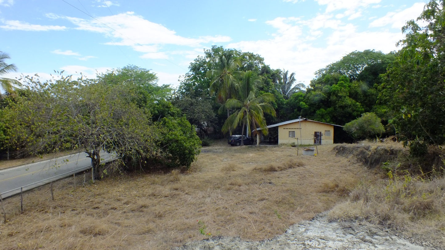 HERMOSA FINCA EN VENTA EN GUAMO ORTEGA