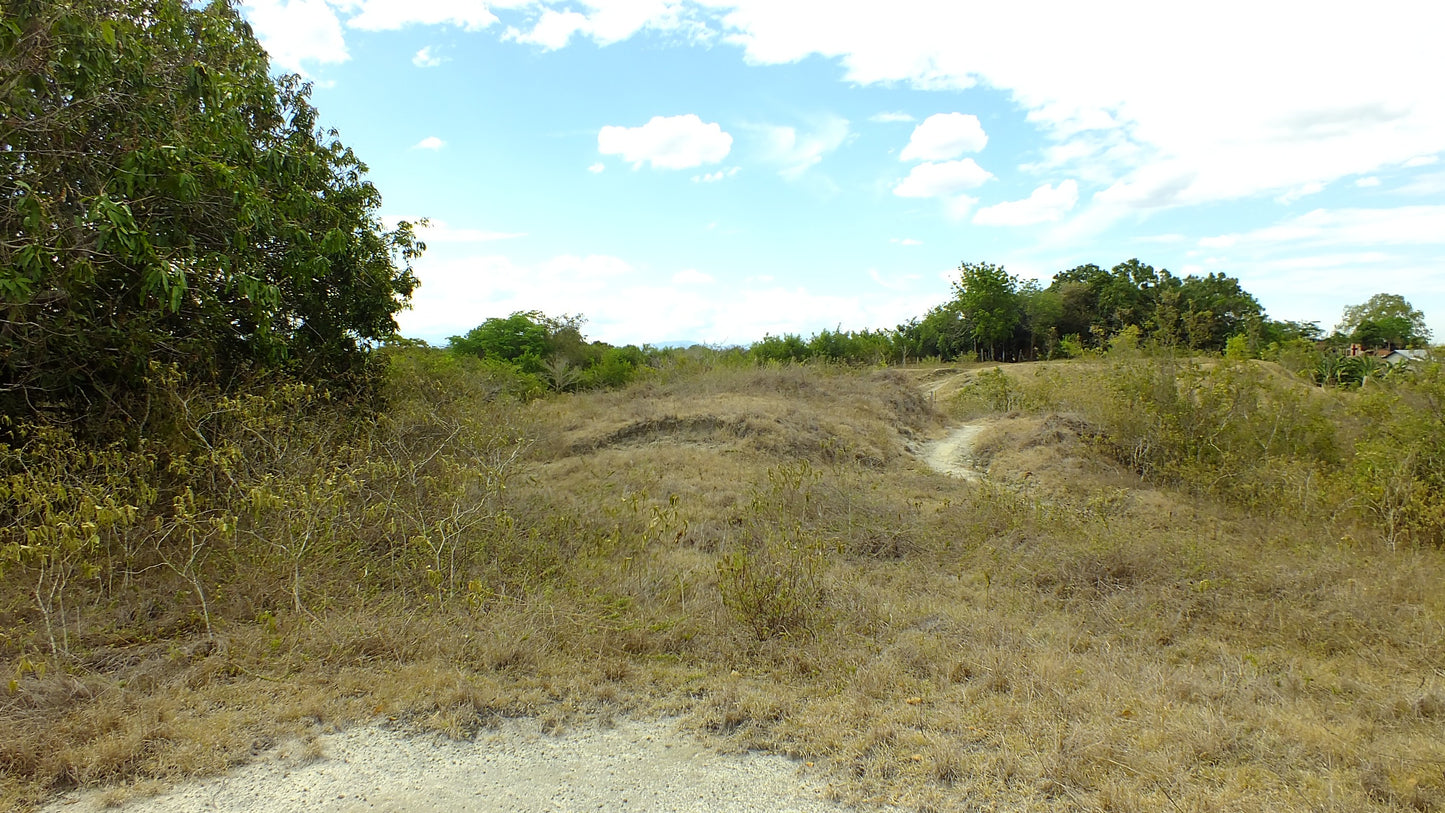HERMOSA FINCA EN VENTA EN GUAMO ORTEGA
