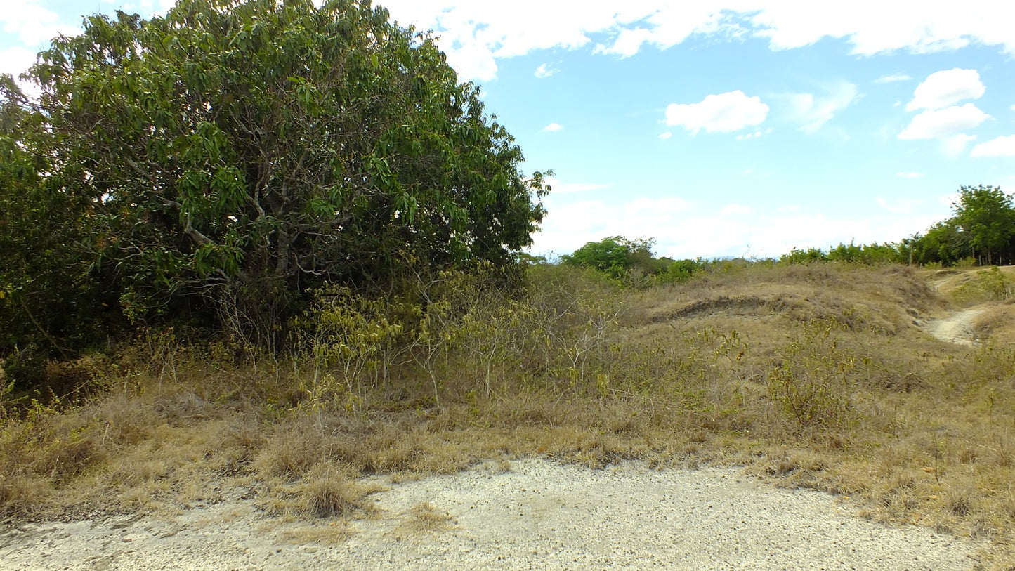 HERMOSA FINCA EN VENTA EN GUAMO ORTEGA