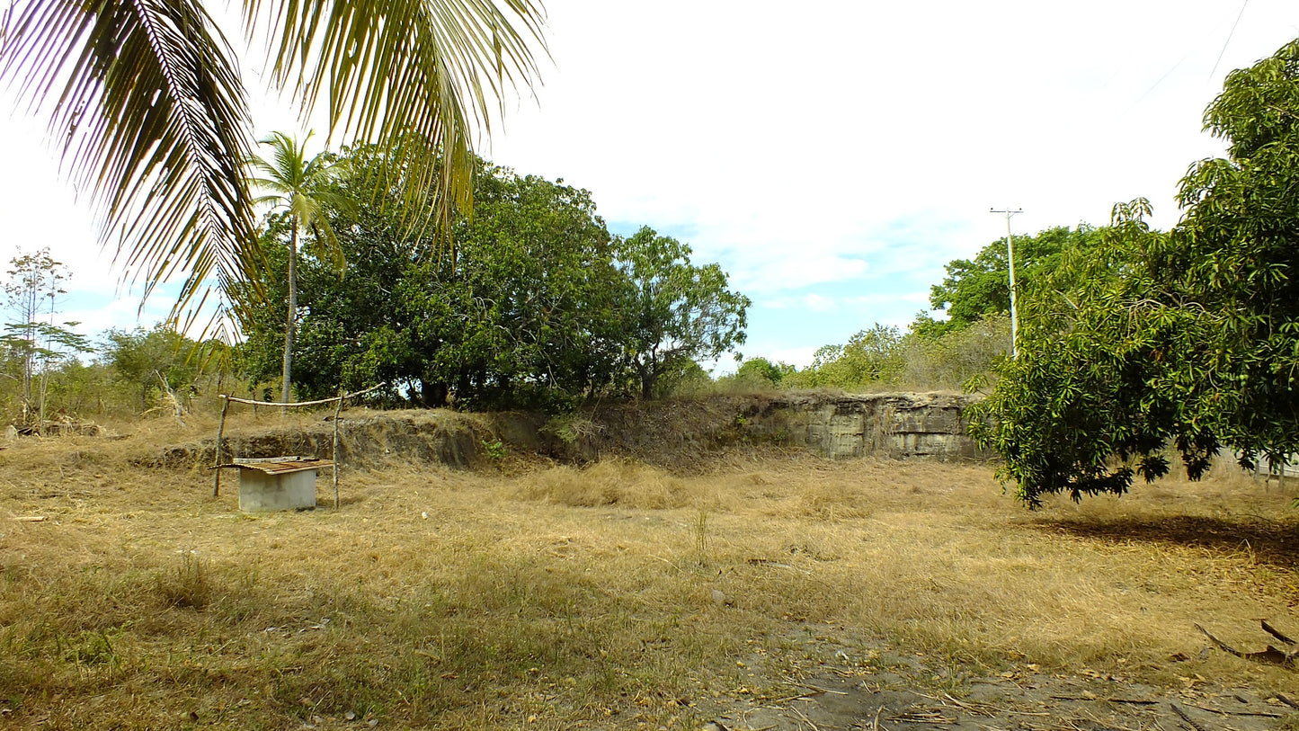 HERMOSA FINCA EN VENTA EN GUAMO ORTEGA