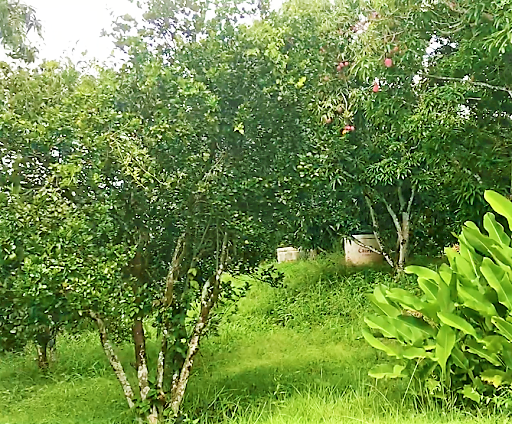 233-486 Fantástica Finca en Anapoima