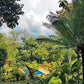 LOTE URBANO LA MESA CUNDINAMARCA (SAN JAVIER)