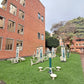 Hermoso apartamento en arriendo en la castellana