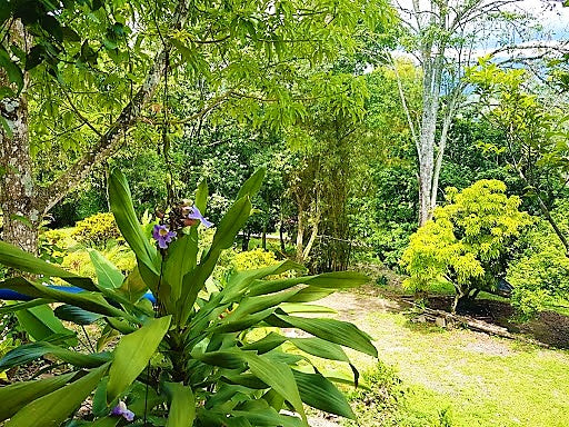 LOTE URBANO LA MESA CUNDINAMARCA (SAN JAVIER)