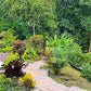 LOTE URBANO LA MESA CUNDINAMARCA (SAN JAVIER)