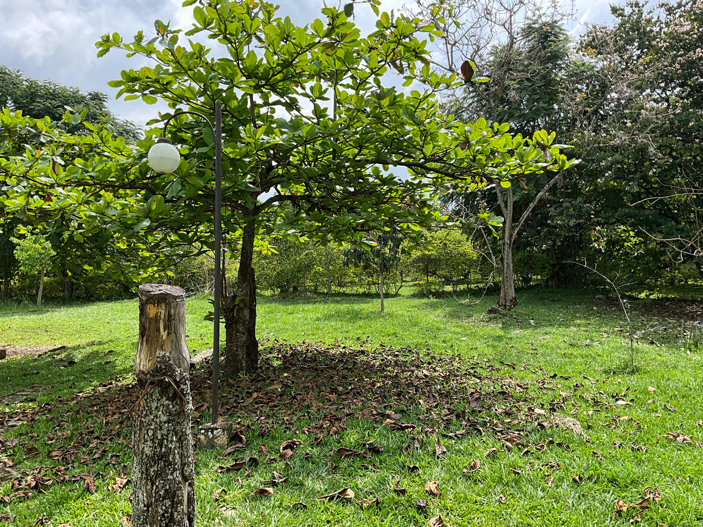 VENDO CASA CAMPESTRE EN LA MESA  3.900m2