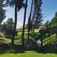 Hermosa Casa En Venta En Cajicá