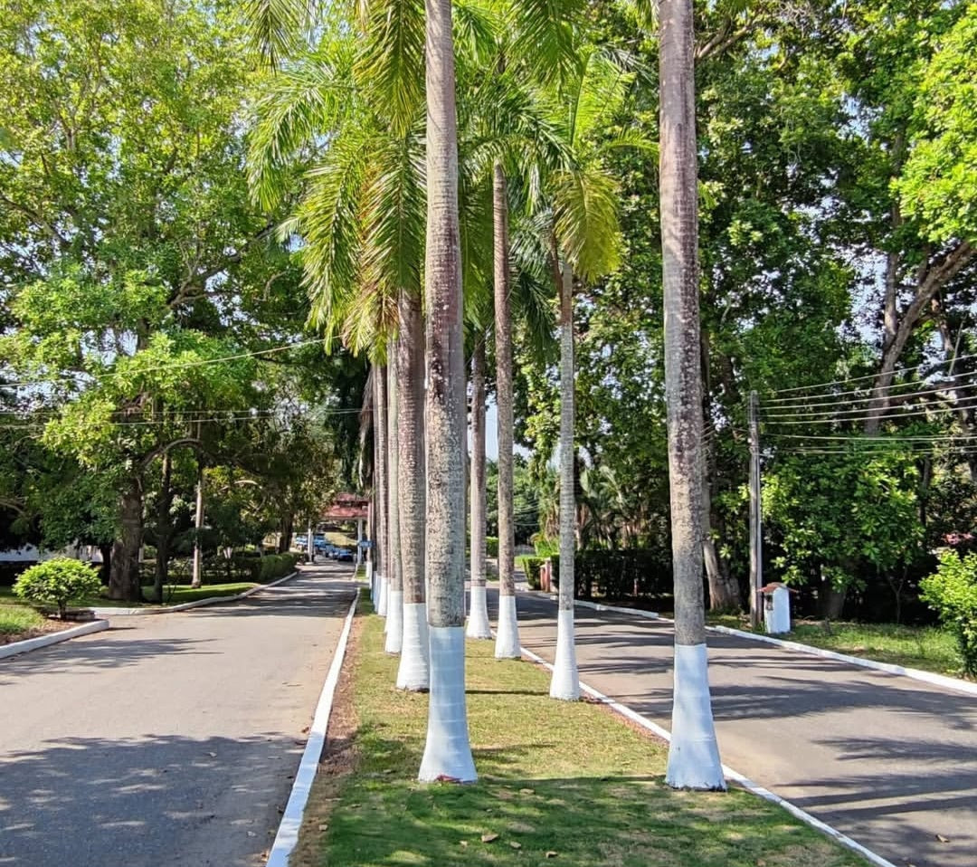Espectacular Casa En Venta En Carmen De Apicala