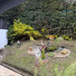 Grandiosa Casa En Cajicá En Venta