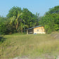HERMOSA FINCA EN VENTA EN GUAMO ORTEGA