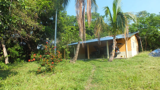 HERMOSA FINCA EN VENTA EN GUAMO ORTEGA
