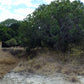 HERMOSA FINCA EN VENTA EN GUAMO ORTEGA